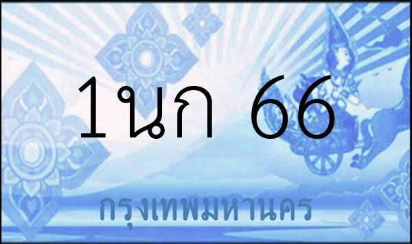 1นก 66